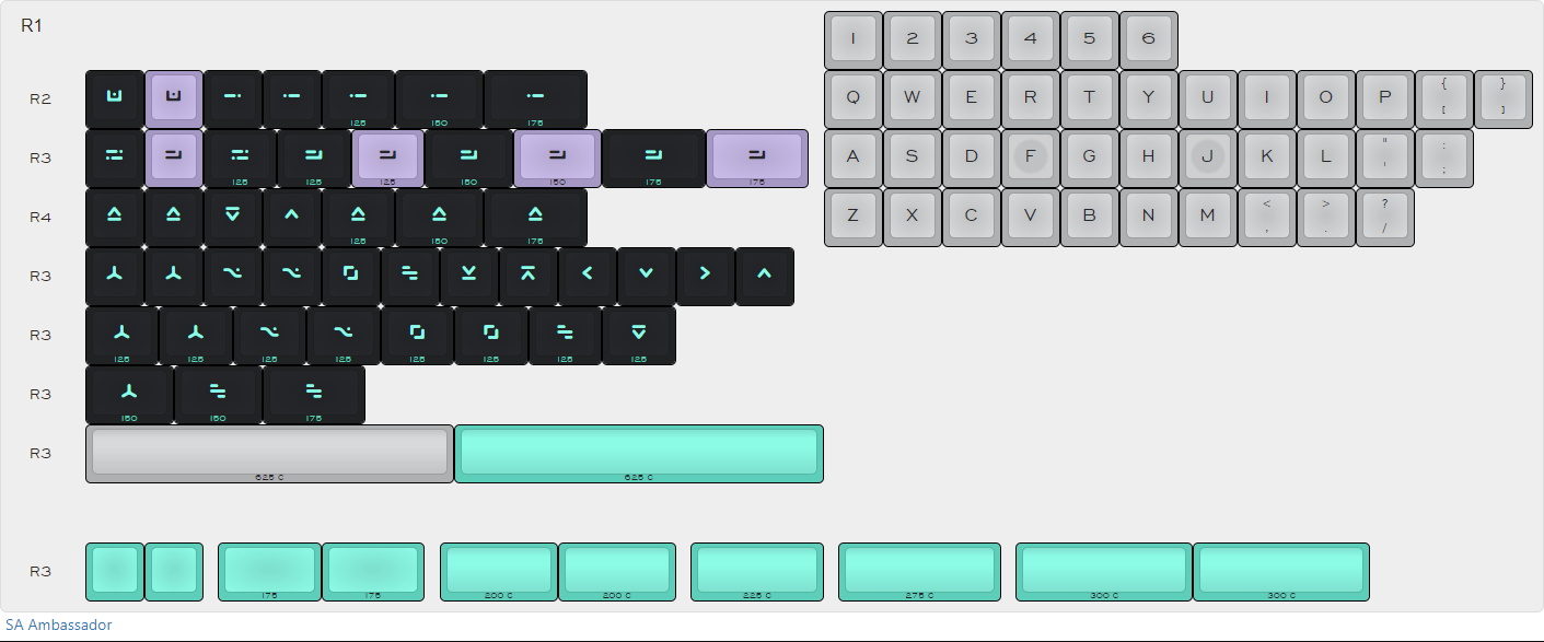 sa_ambassador-layout.png